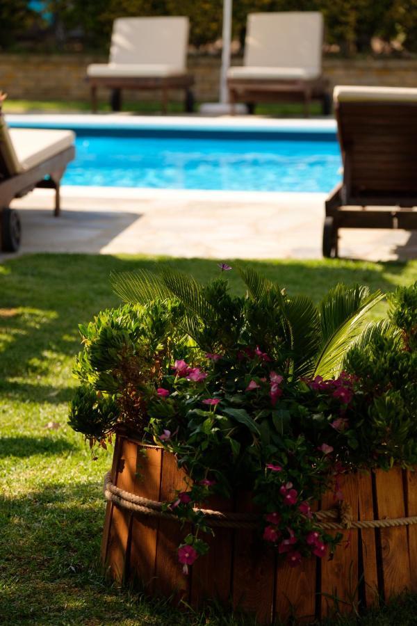Tereza Aparthotel Acharavi (Corfu)